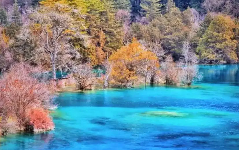 中国旅游山清水秀的十大绝美景区,看看你去过几个?