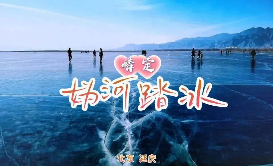 旅游相亲,1.17周六83-05单身专属,京郊小贝加尔湖许你一场冬日私奔,妫水河踏冰-柳沟豆腐宴
