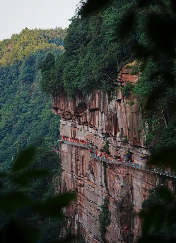 大量日本游客涌入重庆江津,打着旅游幌子不逛四面山不吃米花糖,为什么