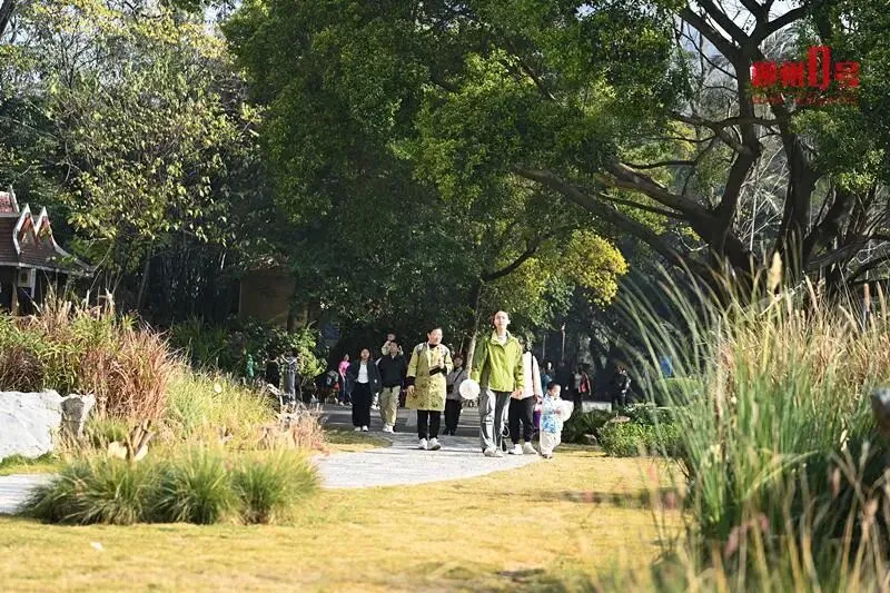 连接两大景点!柳州这个老牌公园又进阶了,功能up↑颜值up↑