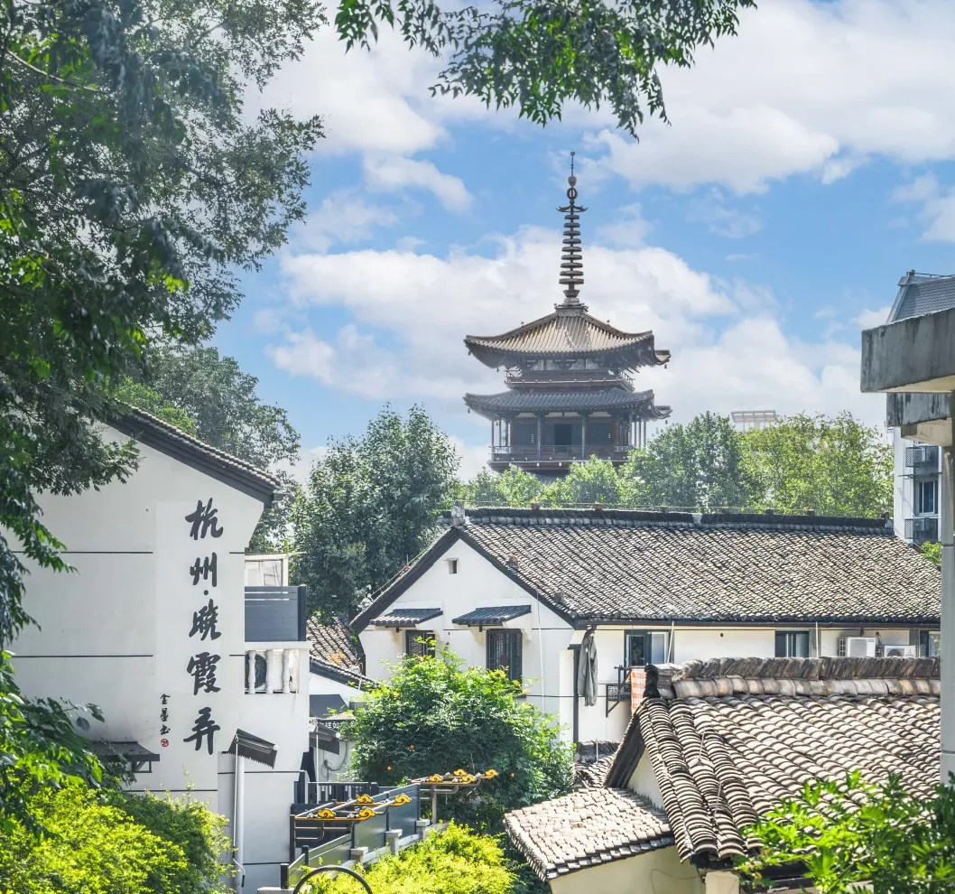 大量日本游客涌入浙江杭州,打着旅游幌子不逛西湖不吃东坡肉,为什么