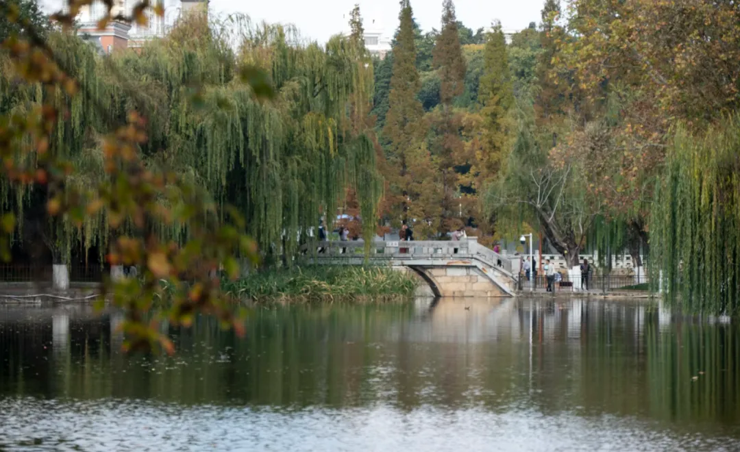 退休后,省吃俭用一辈子,觉得旅游是浪费,被老同事硬拉去云南后,我的世界观崩塌了.