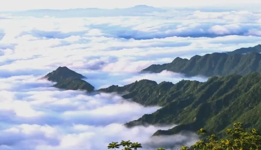 大量日本游客涌入汉阴县,打着旅游幌子不逛凤堰古梯田不吃炕炕馍,为什么