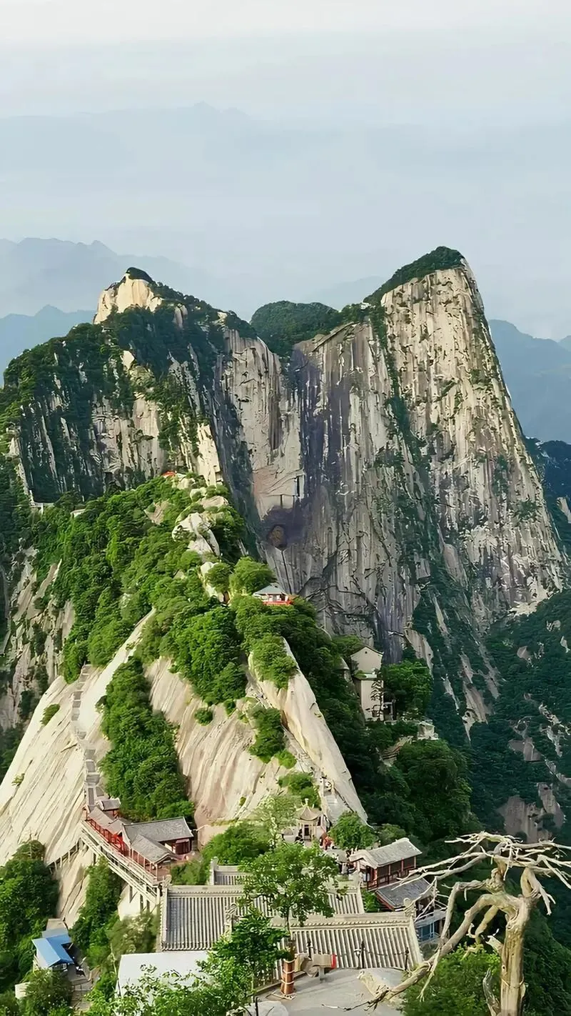 大量日本游客涌入华阴市,打着旅游幌子不逛华山不吃大刀面,为什么