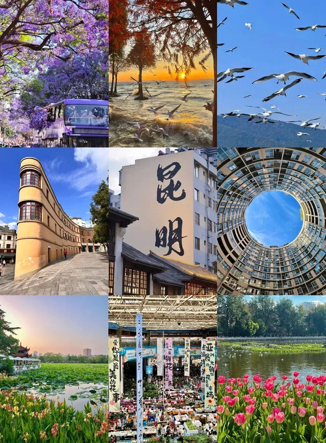 云南亲子游全攻略(必去景点 + 美食推荐 + 避坑指南)第一次必看的保姆级攻略!