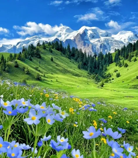 在中国的现实版的＂莫奈花园＂,此生必去景点之一!