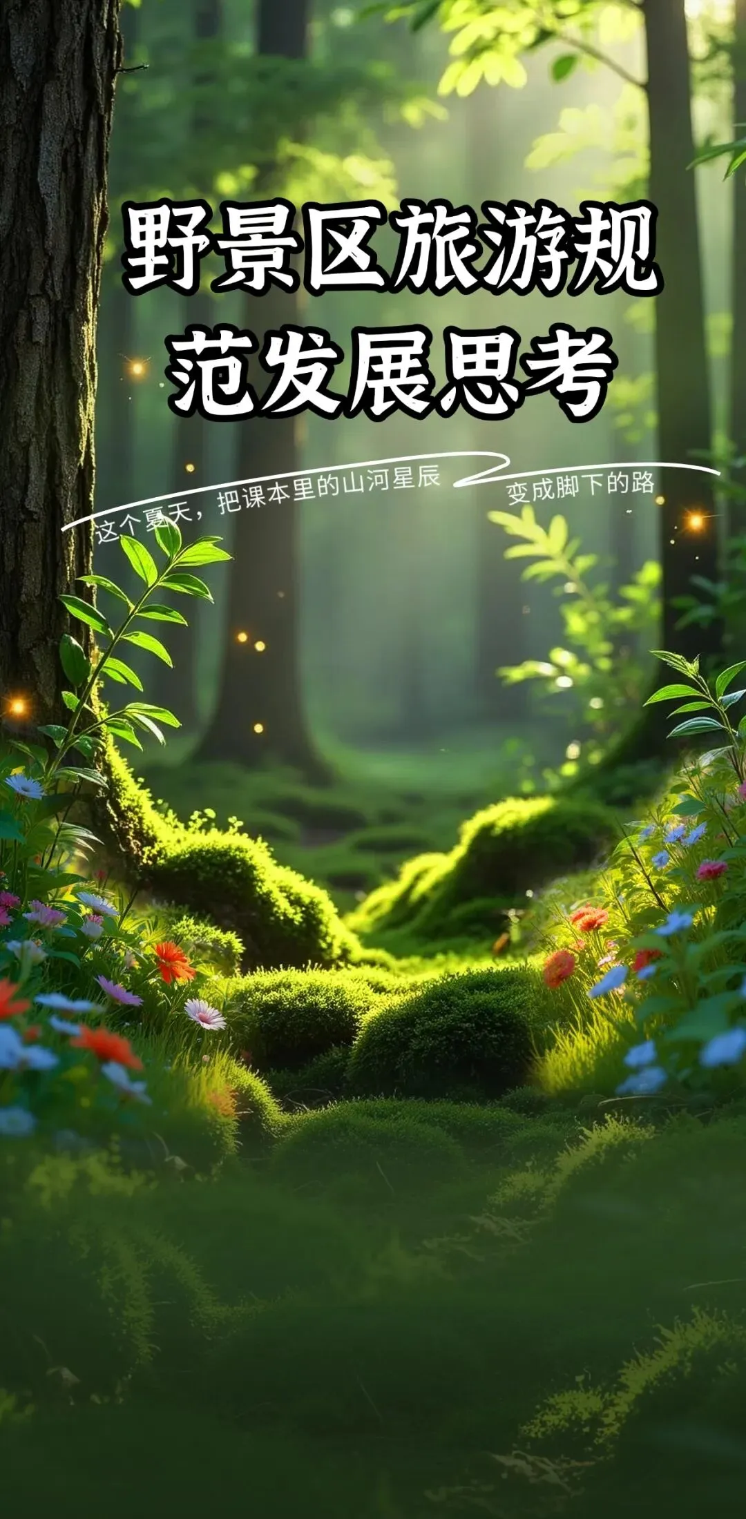 野景区旅游规范发展思考