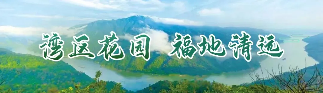 应季游清远!玩透这个景点的ABCD面