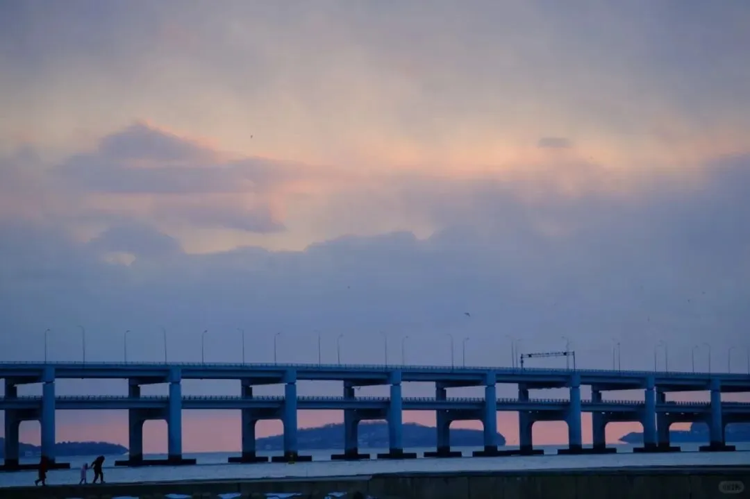 大连旅游避坑指南:靠谱旅行社怎么选?这三家别错过