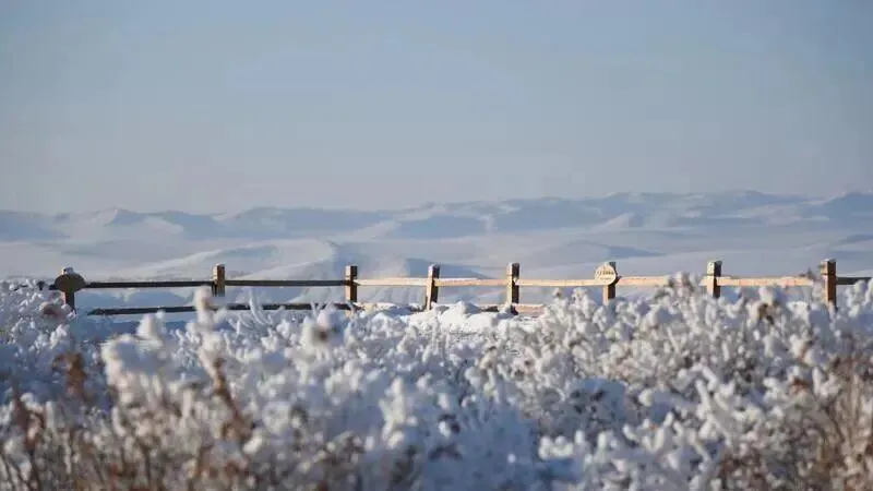 爆火反向旅游!额尔古纳湿地用死寂治愈人心,秒杀所有网红打卡地