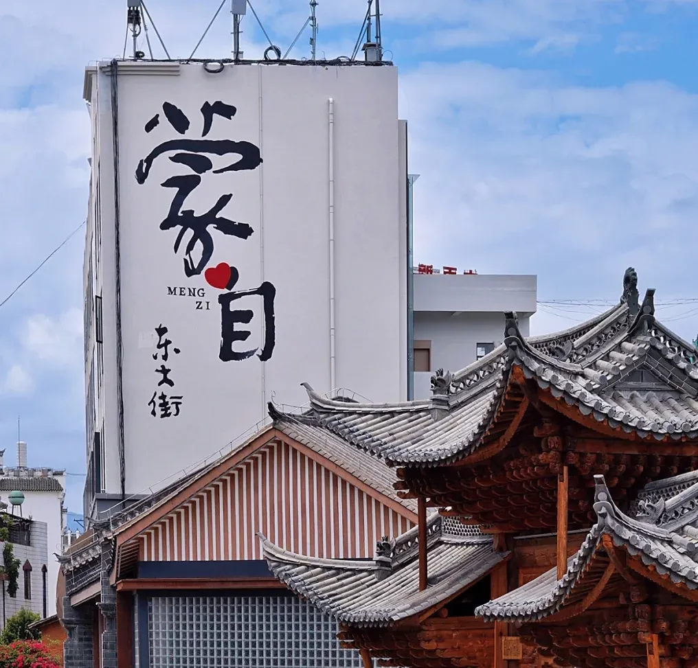 大量日本游客涌入云南蒙自,打着旅游幌子不逛南湖公园不尝过桥米线,为什么