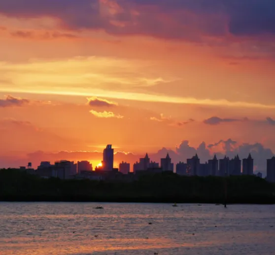 大量日本游客涌入揭阳,打着旅游幌子不游揭东不吃揭阳豆腐花,为什么?