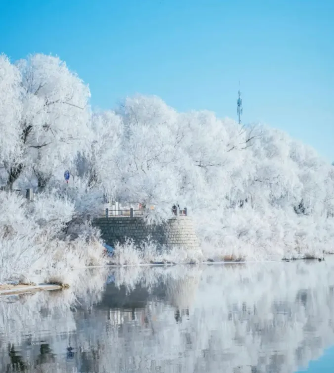 大量日本游客涌入吉林,打着旅游幌子不游松花湖不吃大米饭,为什么?