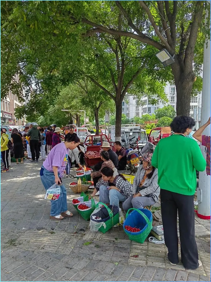 大批珠海游客突然进入阳江,打着旅游的幌子,不吃猪肠碌不看海陵岛,想干哈?