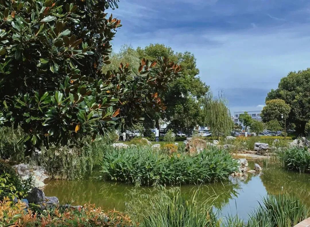 巢湖风光:陋室一半枝梅景区