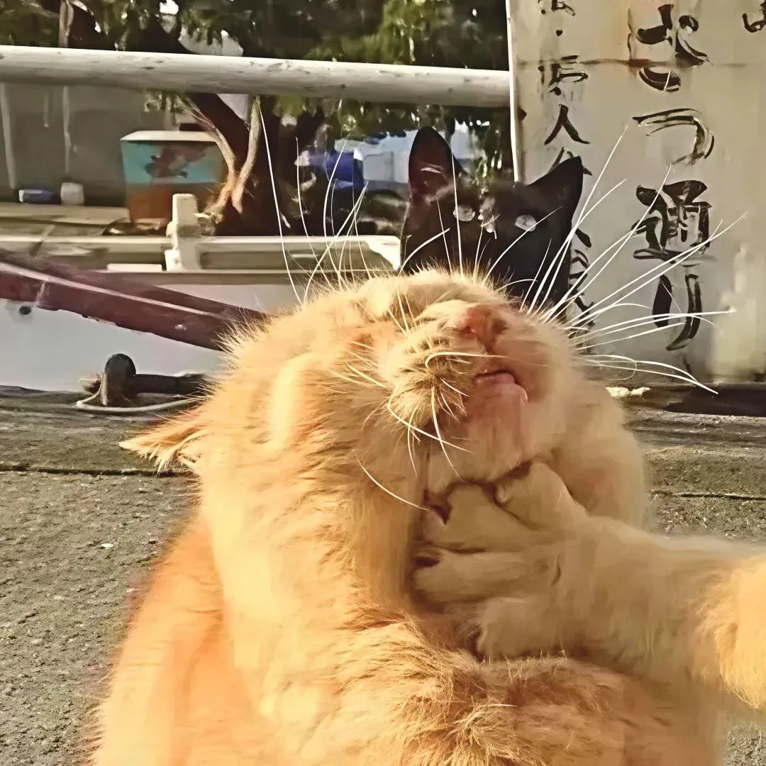 " 每个景点都有专属于它的独特文案,打卡不同城市你就这样发”��