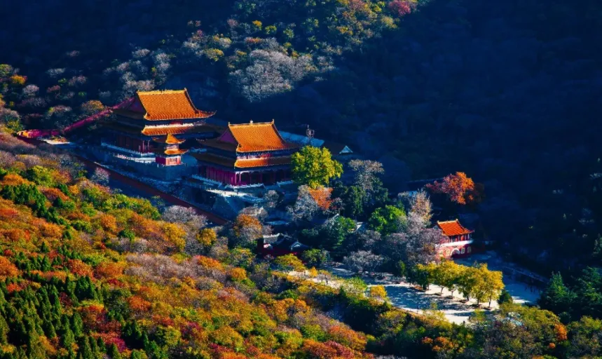 大量日本游客涌入淮北,打着旅游幌子不游相山不吃淮北牛肉板面,为什么?