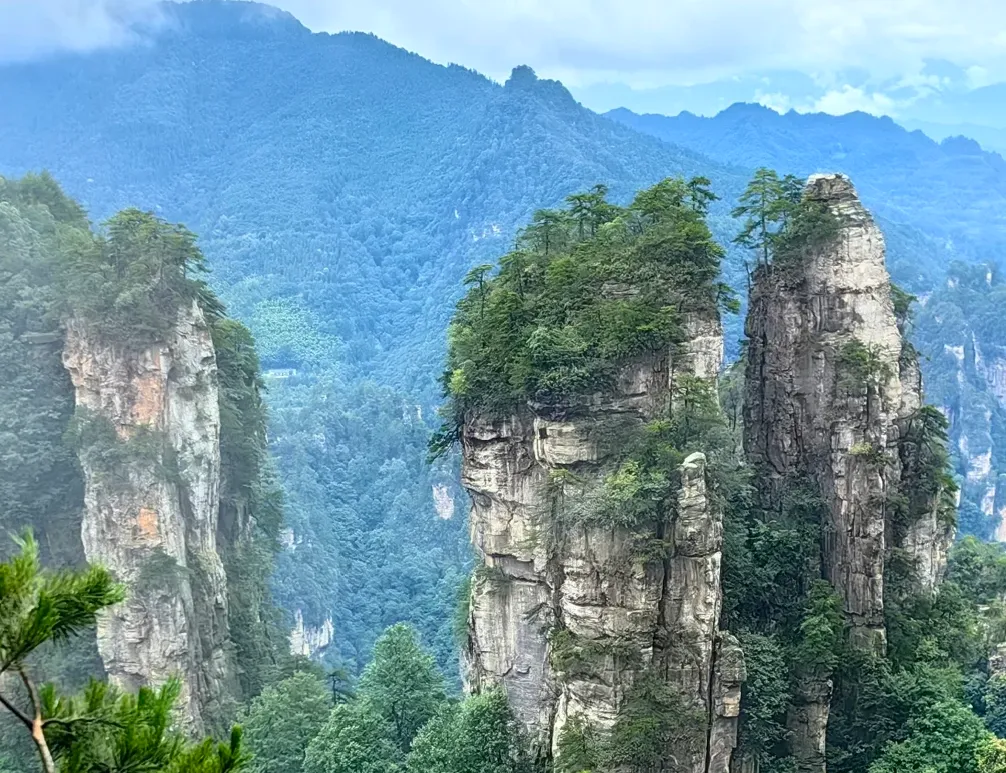 大量日本游客涌入湖南武陵源,打着旅游幌子不逛石英砂岩峰林不吃三下锅,为什么