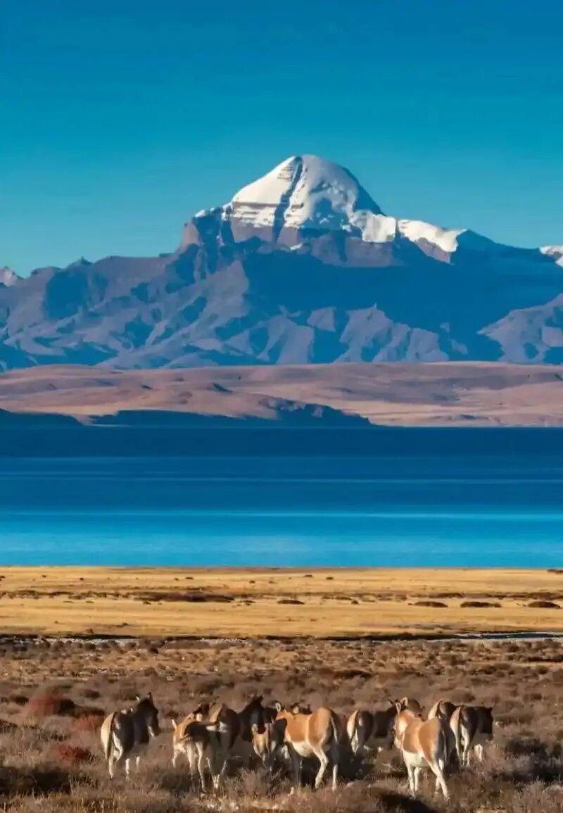 西藏-阿里神山圣湖景区(冈仁波齐 玛旁雍错)