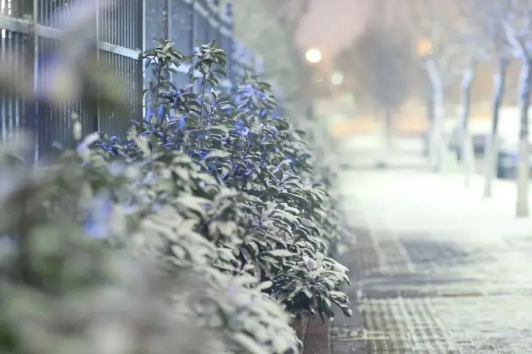 重要提醒!雨雪冰冻天气旅游安全提示