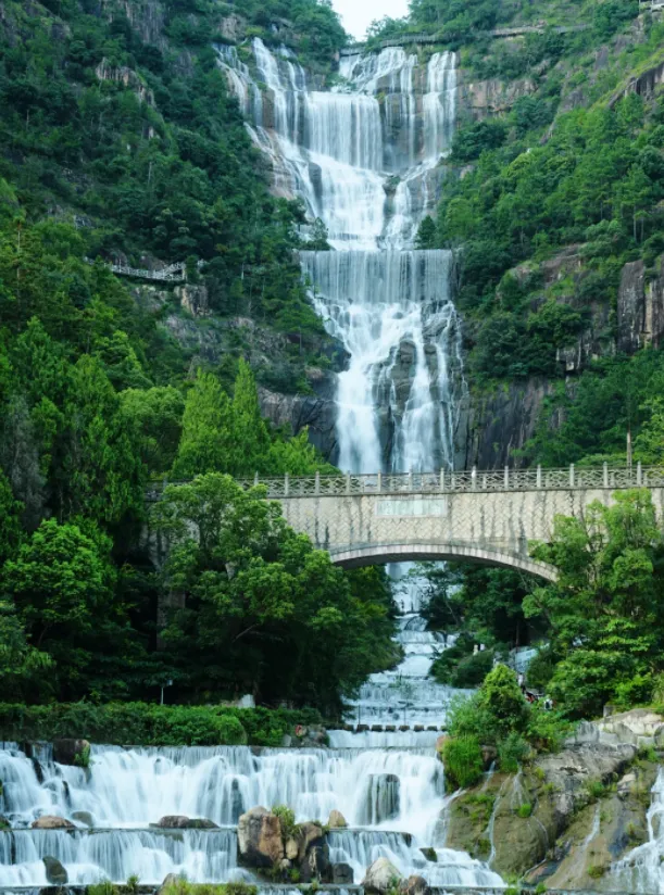大量日本游客涌入台州,打着旅游幌子不看天台山不吃黄岩蜜桔,为什么?