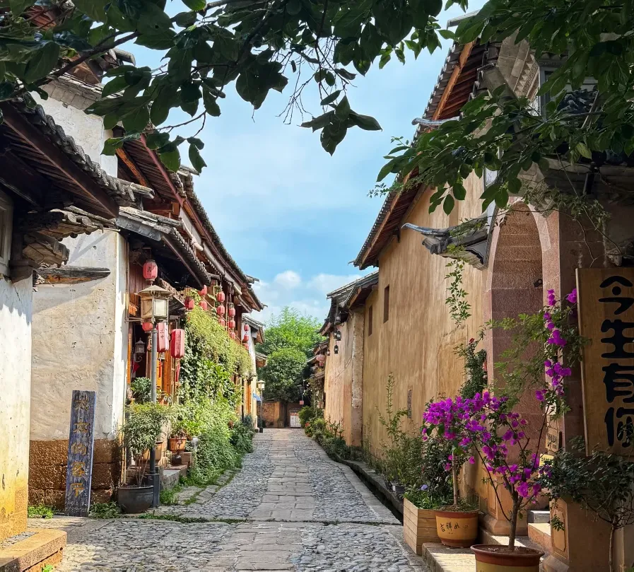 大量日本游客涌入云南大理,打着旅游幌子不逛洱海不吃乳扇,为什么