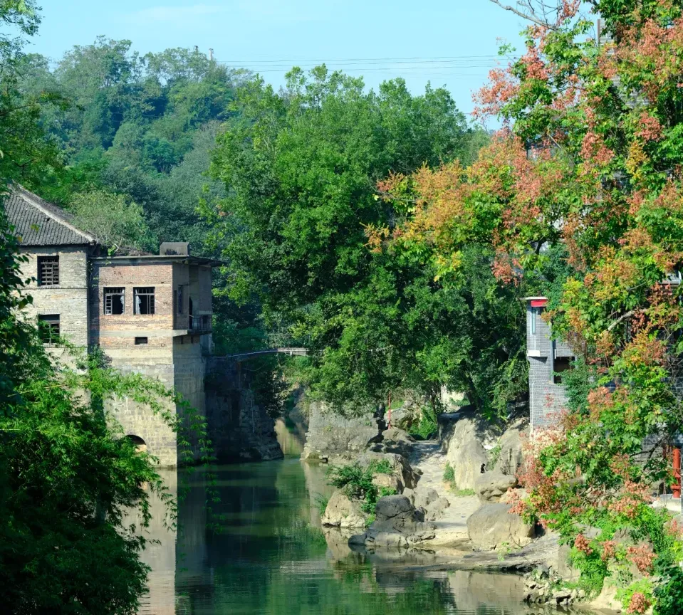 大量日本游客涌入湖南永州,打着旅游幌子不逛九嶷山不吃东安鸡,为什么