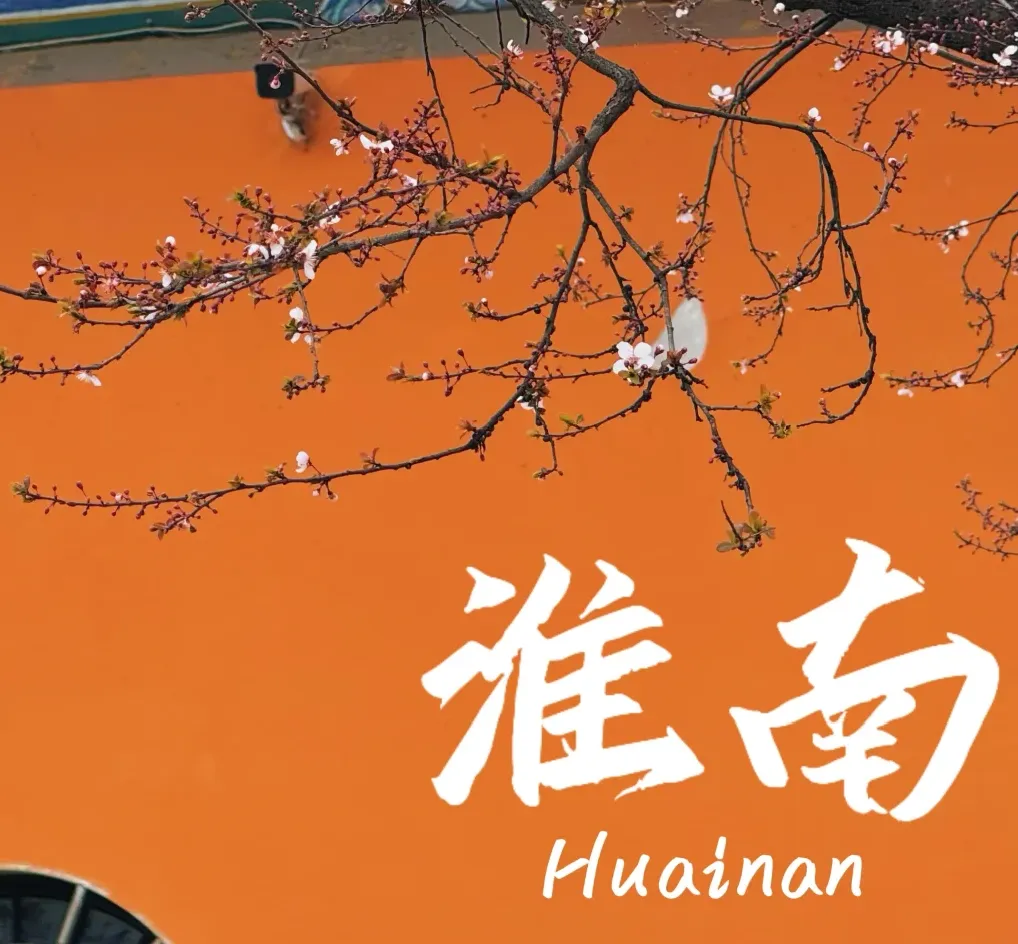 大量日本游客涌入安徽淮南,打着旅游幌子不逛八公山不吃牛肉汤,为什么