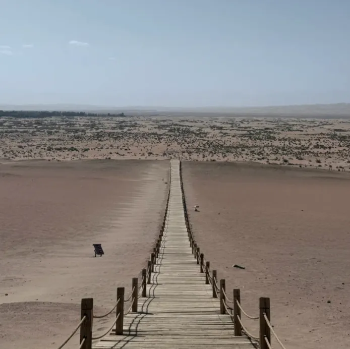 大量日本游客涌入敦煌,打着旅游幌子不看月牙泉不吃驴肉黄面,为什么?