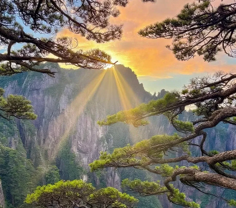 大量日本游客涌入安徽黄山,打着旅游幌子不逛宏村不吃毛豆腐,为什么