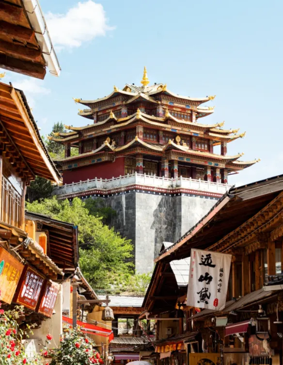 大量日本游客涌入迪庆,打着旅游幌子不看梅里雪山不喝青稞酒,为什么?