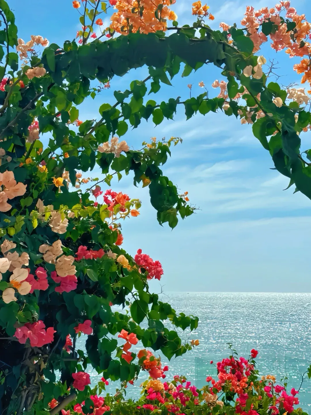 三亚老人旅游攻略:舒适行程+必玩景点,适合长辈的贴心指南