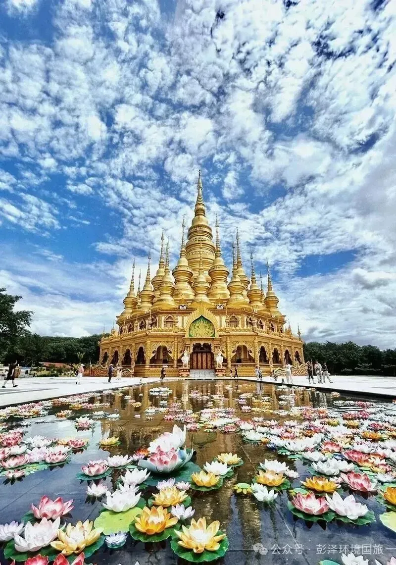 精选版纳热榜景点——原始森林公园-勐泐大佛寺-万亩茶园-野象谷傣族村寨-花卉园-星光夜市