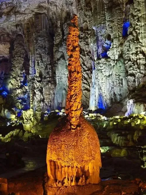 大量日本游客涌入毕节,打着旅游的幌子,不逛百里杜鹃,不吃威宁火腿,为什么?