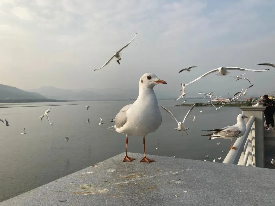 昆明主要景点看完了没地方去?这几个冷门景区也不错