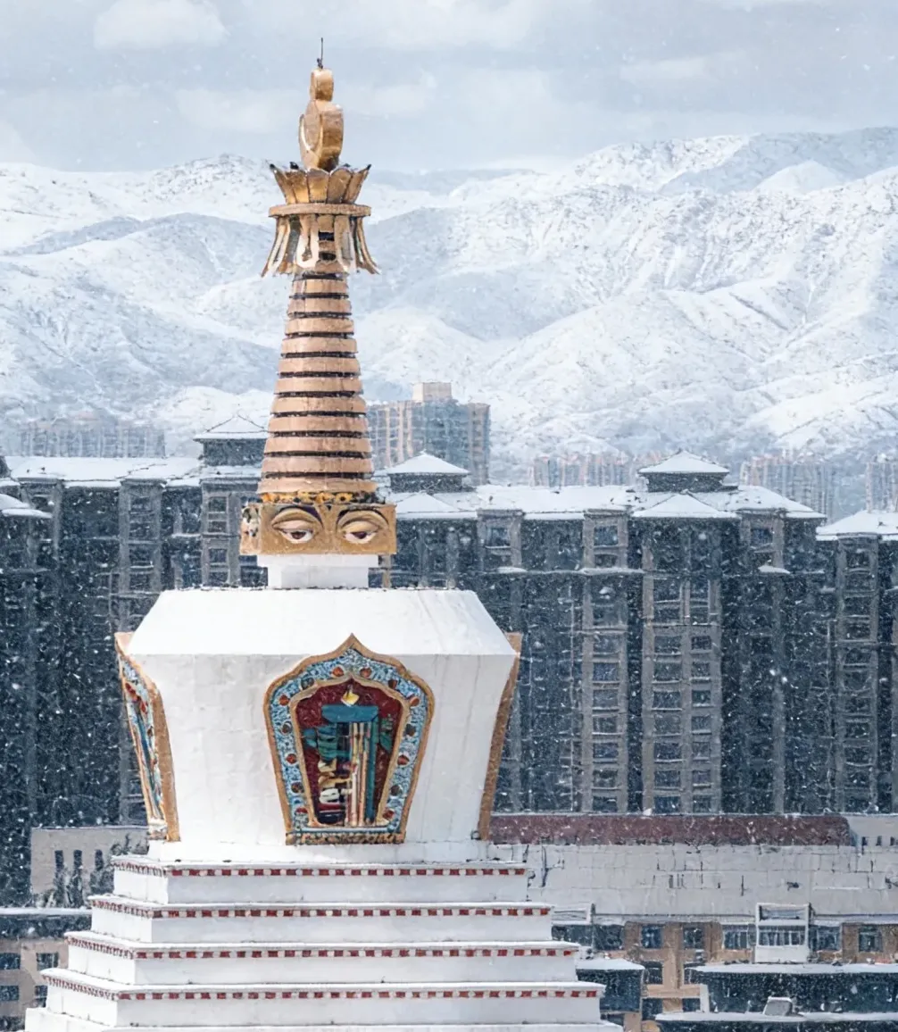 大量日本游客涌入内蒙古呼和浩特,打着旅游幌子不逛昭君墓不吃手扒肉,为什么?