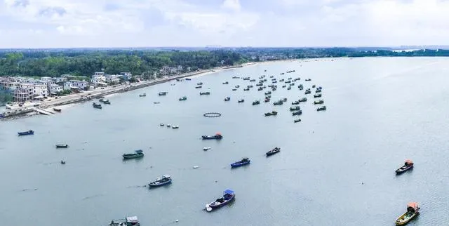 大量马来西亚游客涌入海南澄迈,打着旅游幌子不逛永庆寺不吃瑞溪粽子,为什么