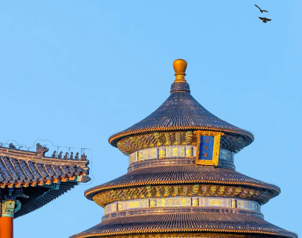 大量日本游客涌入北京,打着旅游幌子不逛故宫不吃北京烤鸭,为什么?