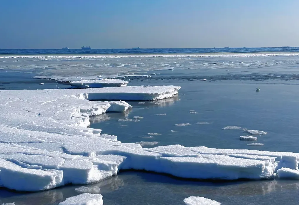 大量日本游客涌入河北秦皇岛,打着旅游幌子不逛山海关不吃四条包子,为什么
