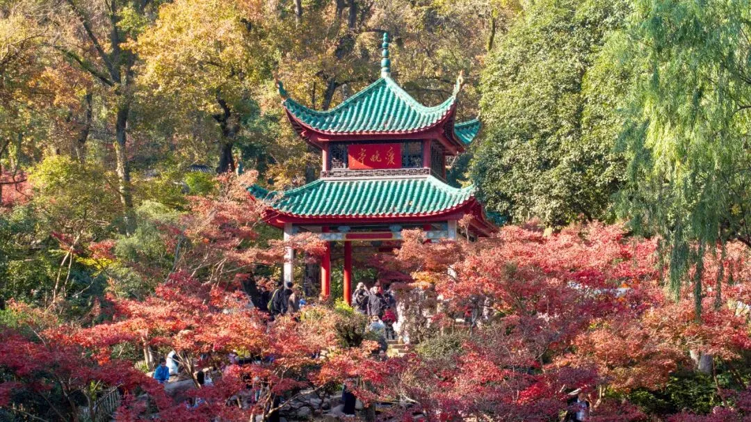 湖南4家景区入选全国5A级景区百强榜