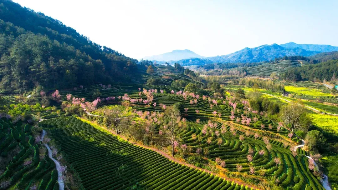 春节节A线福州至武夷山主景区高铁/动车二日游