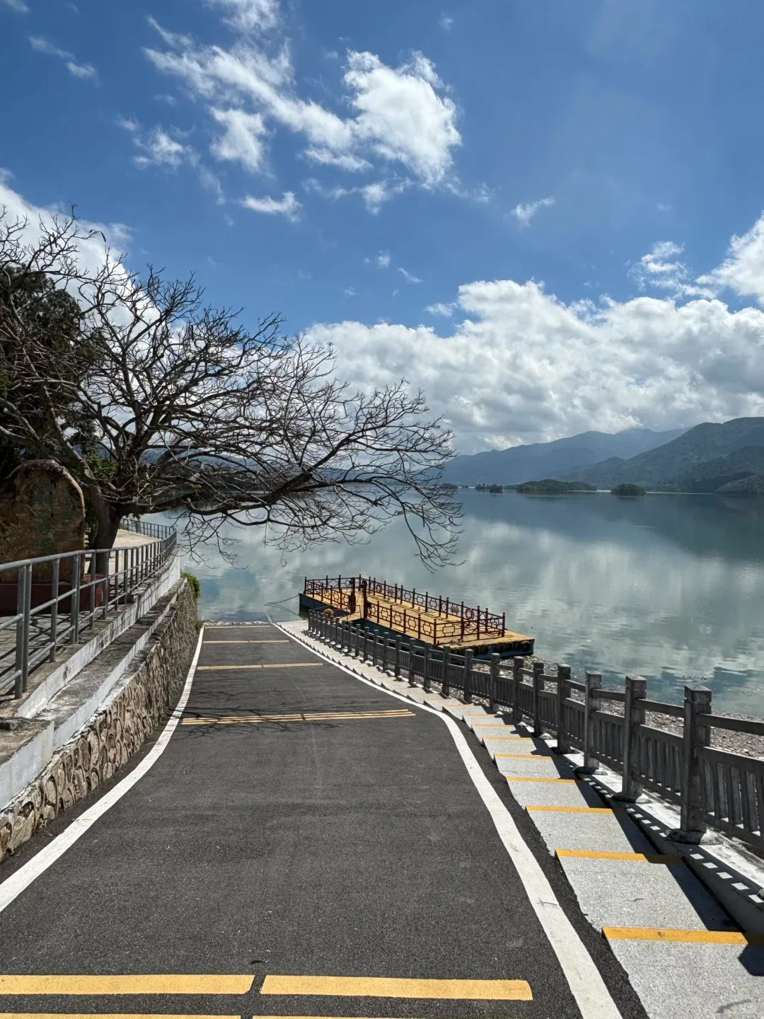 广东“茂名版洱海”网红树被砍?景区回应→