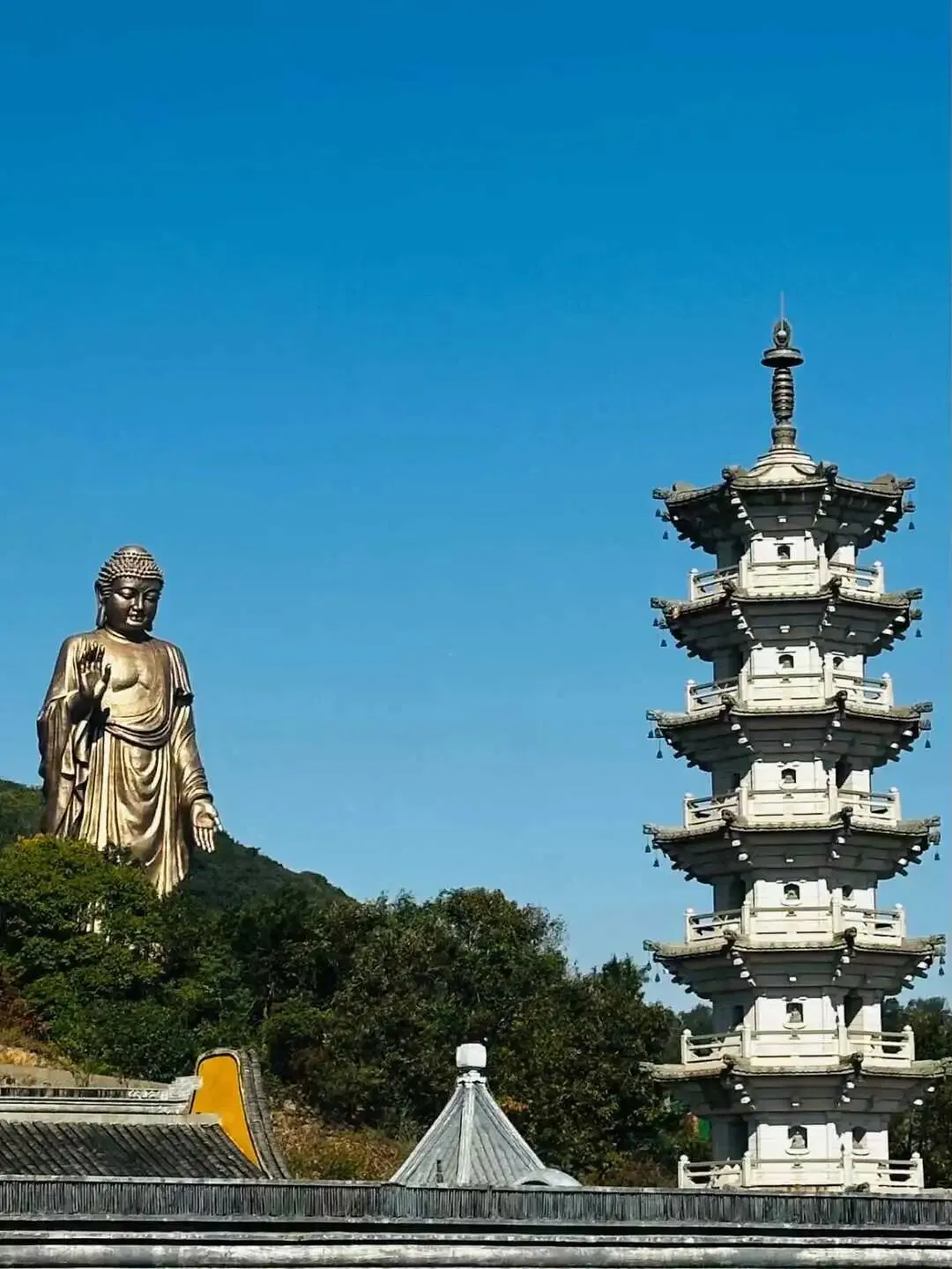 灵山大佛 景区门票 成人票¥135/张;入园付款!