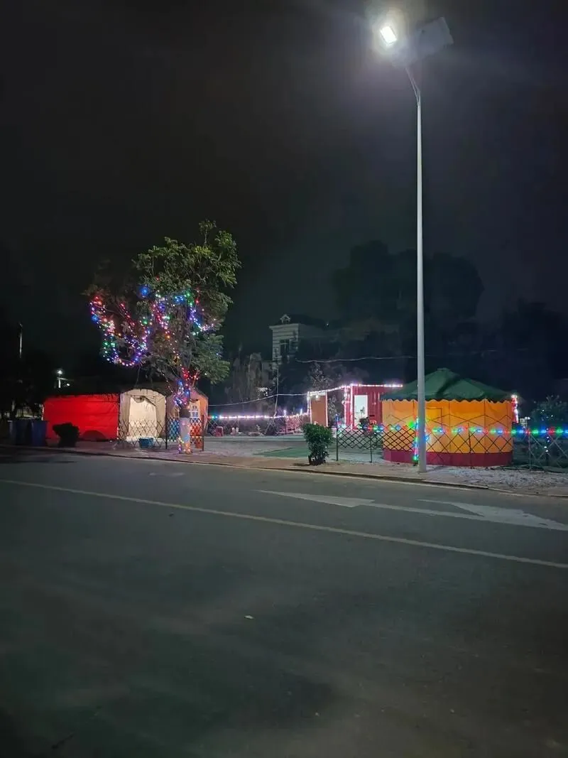 大量日本游客涌入绍兴,打着旅游的幌子,不逛鲁迅故里,不吃茴香豆,为什么?