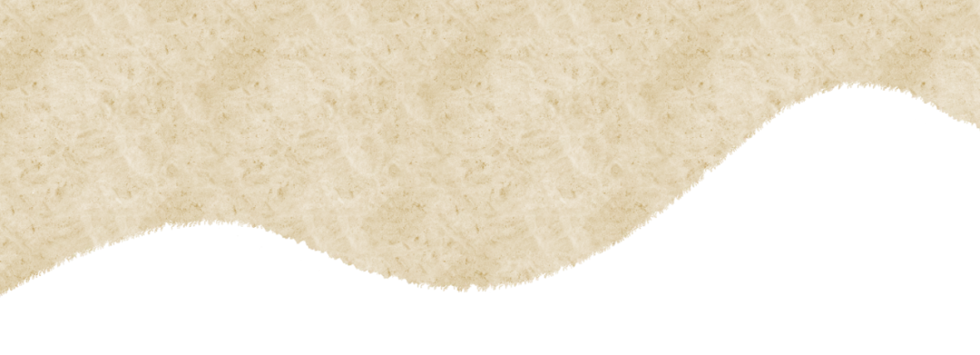 冬日藏暖韵,惠民续华章:白云山鸣春谷景区“云山大舞台”本周末精彩继续