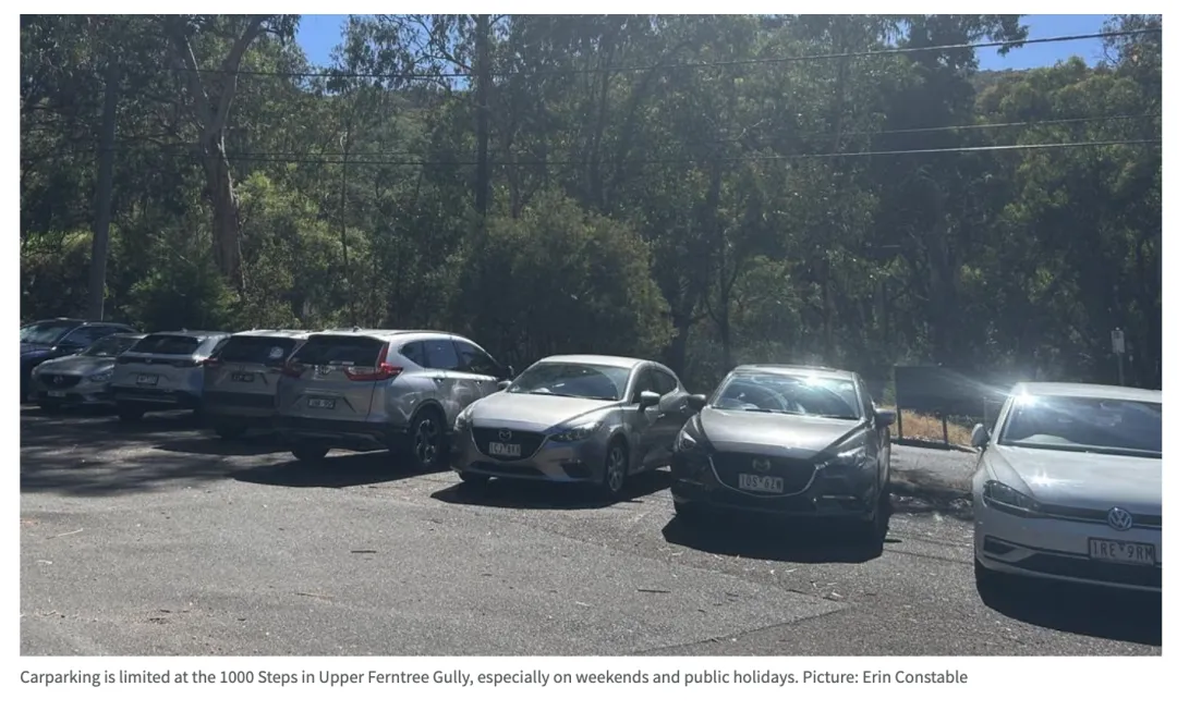 维州这个景点停车是噩梦!连local都不敢去了