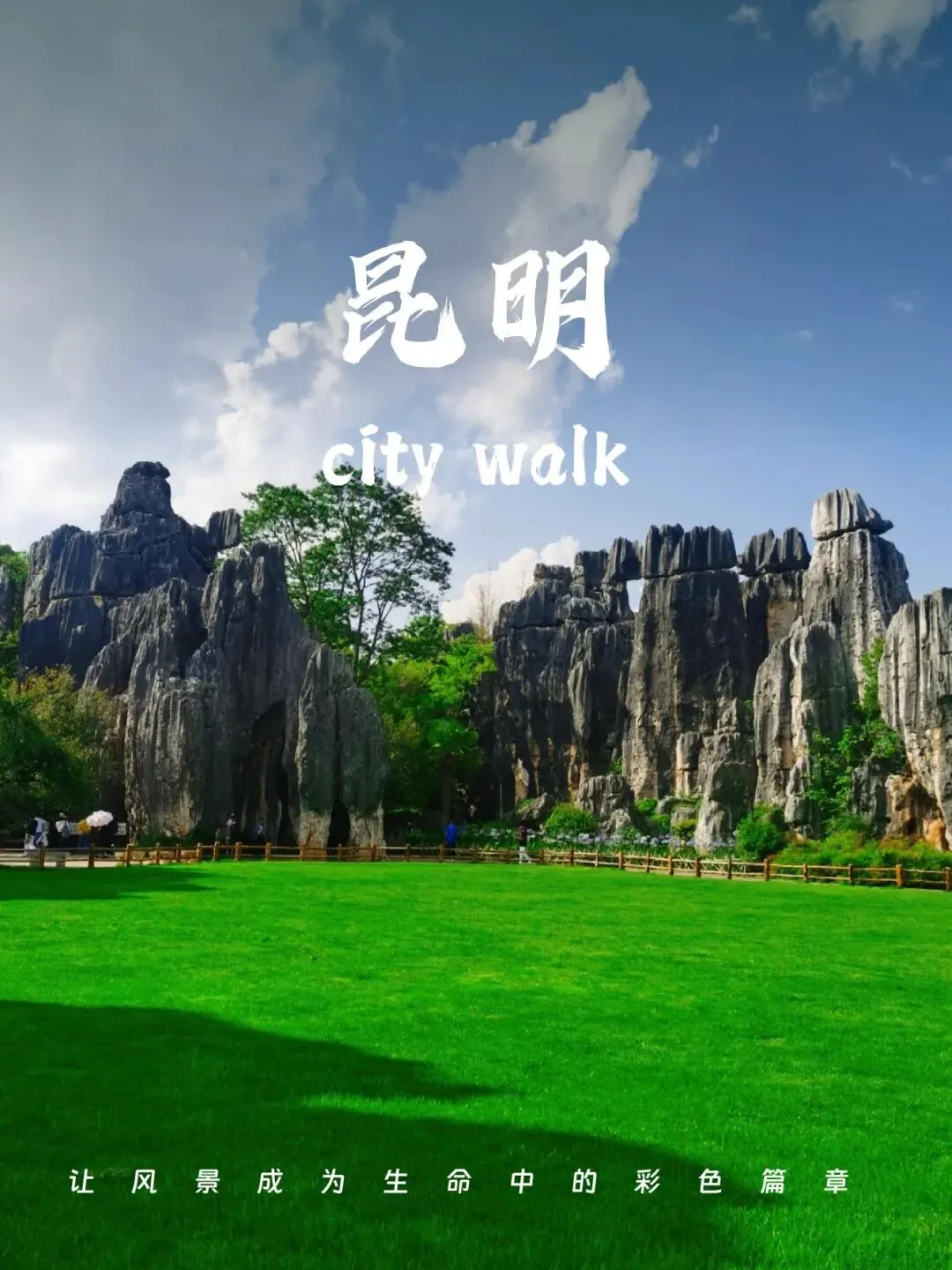 “马”上免费!云南多地景区推出马年限定福利