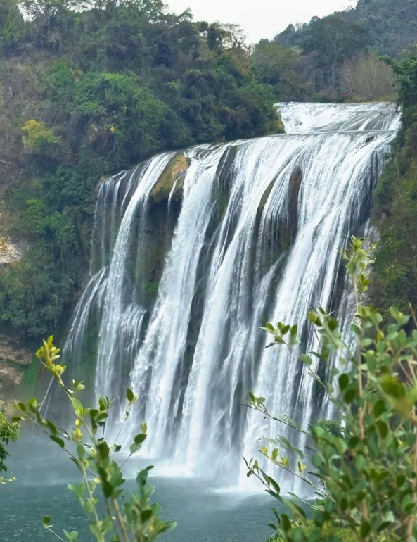 大量日本游客涌入贵州安顺,打着旅游的幌子,不逛黄果树瀑布、不吃安顺裹卷,为什么?