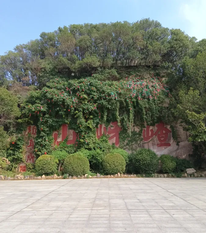 大量日本游客涌入河南驻马店,打着旅游的幌子,不逛嵖岈山、不吃汝南鸡肉丸子,为什么?