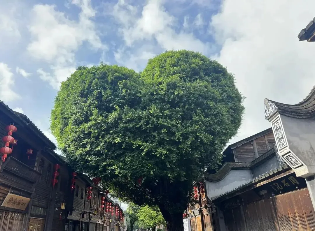 福州五大必去景点,2026春节旅游最合适的地方